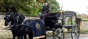 Funeral Horse and Carriage