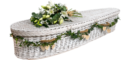 White Willow Teardrop Coffin