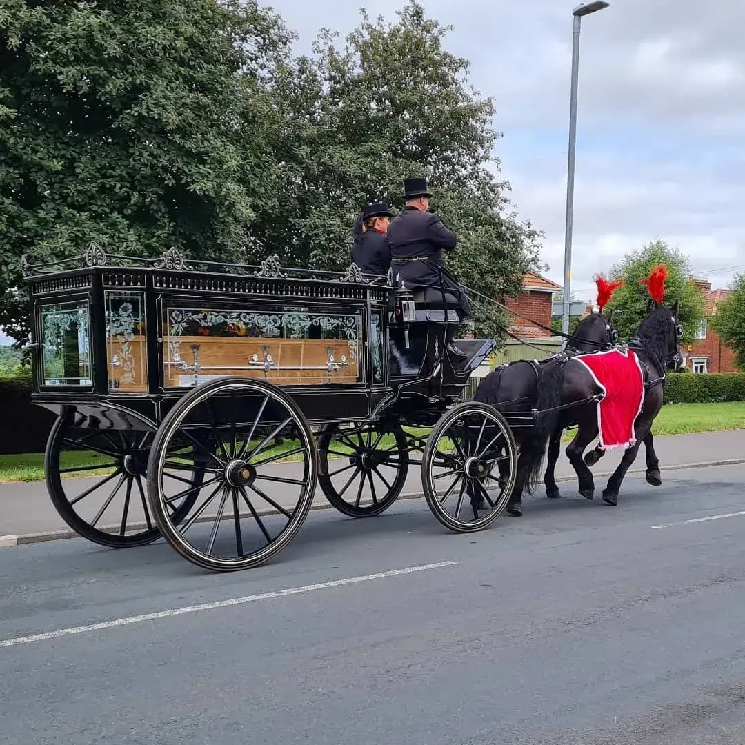 Horse-drawn hearse
