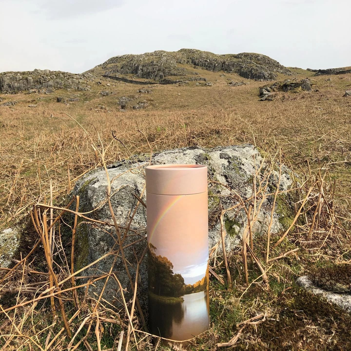 Scatter tube for ashes