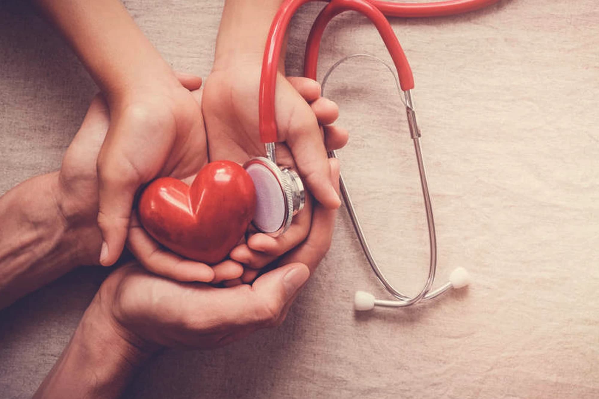 Tissue donation support