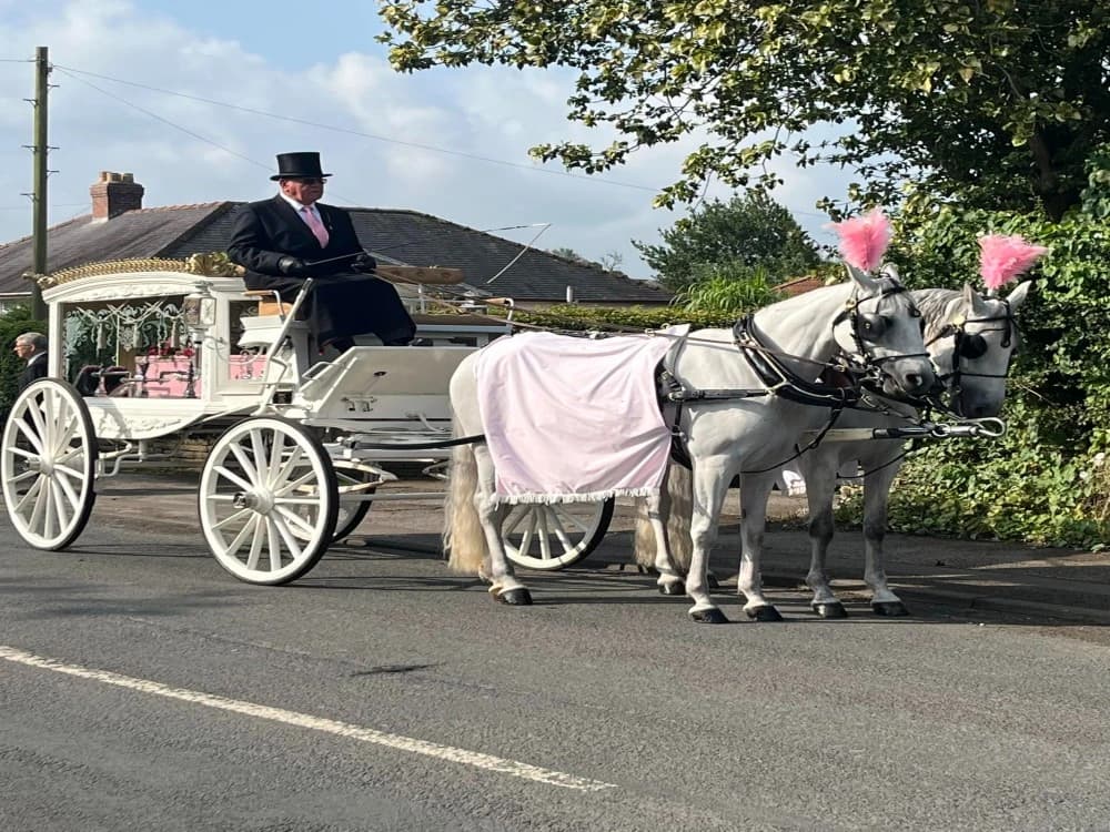 Funeral transport options