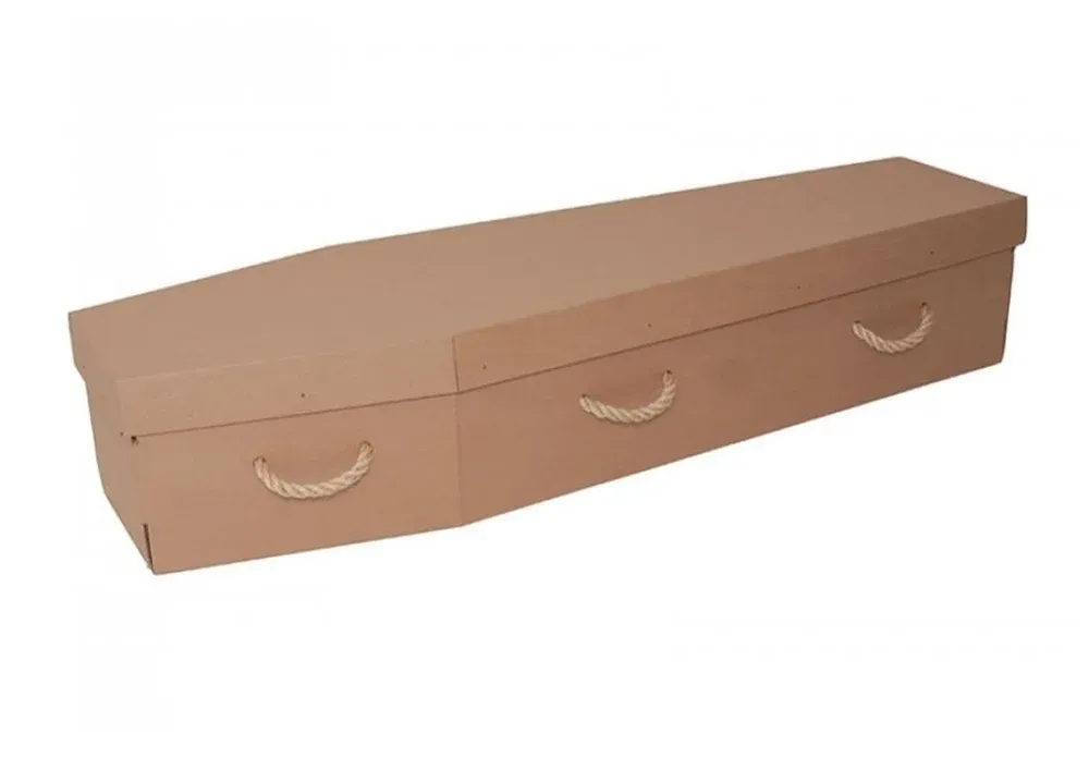 Simple Manilla Cardboard Coffin image