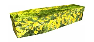 Picture Coffin image