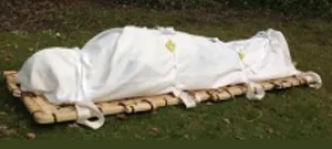 Bamboo Shroud image