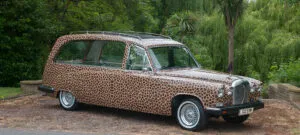 Leopard Print Hearse image