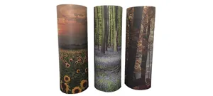 Cardboard Pictorial Scatter Tube image