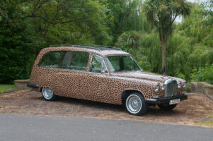 Leopard Print Hearse
