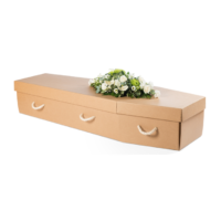 Manilla Cardboard Coffin
